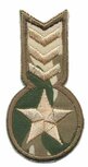 Opstrijkbare applicatie leger/army ster en strepen (1 stuk)