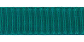 Biesband ca. 22 mm zeegroen (100 m)