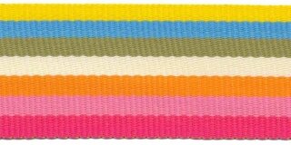 Geel-blauw-groen-creme-oranje-roze-fuchsia streep grosgrain/ribsband 30 mm (ca. 45 m)