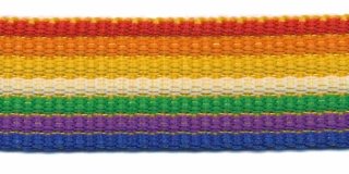 Tassenband 25 mm streep regenboog rood/oranje/geel/groen/paars/blauw EXTRA STEVIG (ca. 5 m)