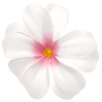 Zomerse bloem wit met roze hart ca. 7 cm (10 stuks)