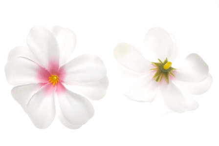 Zomerse bloem wit met roze hart ca. 7 cm (10 stuks) - voor- en achterzijde
