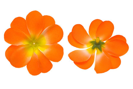 Zomerse bloem oranje ca. 7 cm (10 stuks) - voor- en achterzijde