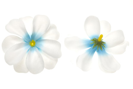 Zomerse bloem wit met aqua hart ca. 7 cm (10 stuks) - voor- en achterzijde