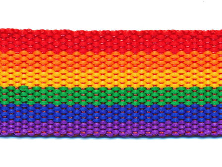 Tassenband 30 mm regenboog streep rood/oranje/geel/groen/blauw/paars STEVIG (ca. 5 m)