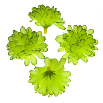 Chrysant groen stof ca. 5 cm (10 stuks)