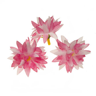 Chrysant wit/roze met puntige blaadjes ca. 5 cm (10 stuks)