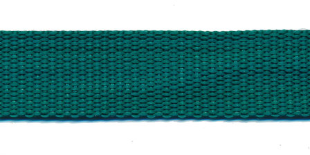 Tassenband 20 mm zeegroen (50 m)