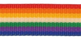 Tassenband 25 mm regenboog streep rood/oranje/geel/wit/groen/paars/blauw STEVIG (ca. 5 m)