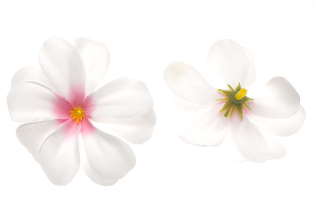 Zomerse bloem wit met roze hart ca. 7 cm (10 stuks) - voor- en achterzijde