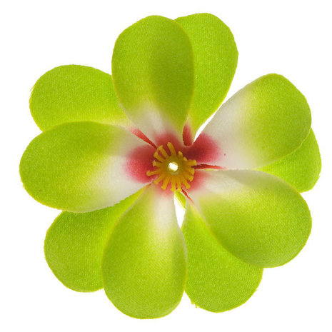 Zomerse bloem groen ca. 7 cm (10 stuks)