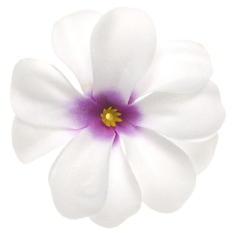 Zomerse bloem wit met paars hart ca. 7 cm (10 stuks)