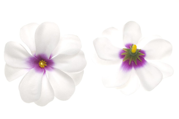 Zomerse bloem wit met paars hart ca. 7 cm (10 stuks) - voor- en achterzijde
