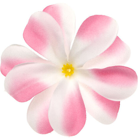 Zomerse bloem wit met roze ca. 7 cm (10 stuks)