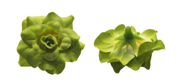 Roos groen stof ca. 4,5 cm (10 stuks)