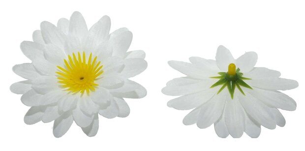 Gerbera wit stof klein ca. 6,5 cm (10 stuks)