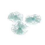 Kanten rozet mint ca. 30 mm (ca. 25 stuks) Kanten rozet mint ca. 30 mm (ca. 25 stuks)