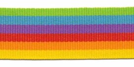 Geel-oranje-fuchsia-paars-licht blauw-gifgroen streep grosgrain/ribsband 25 mm (ca. 45 m) Geel-oranje-fuchsia-paars-licht blauw-gifgroen streep grosgrain/ribsband 25 mm (ca. 45 m)