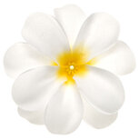 Zomerse bloem wit met geel hart ca. 7 cm (10 stuks) Zomerse bloem wit met geel hart ca. 7 cm (10 stuks)