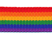 Tassenband 30 mm regenboog streep rood/oranje/geel/groen/blauw/paars STEVIG (ca. 5 m) Tassenband 30 mm regenboog streep rood/oranje/geel/groen/blauw/paars STEVIG (ca. 5 m)