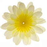Gerbera vanille stof klein ca. 6,5 cm (10 stuks) Gerbera vanille stof klein ca. 6,5 cm (10 stuks)