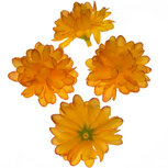 Chrysant oranje met ronde blaadjes ca. 5 cm (10 stuks) Chrysant oranje met ronde blaadjes ca. 5 cm (10 stuks)