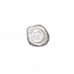 Roosje satijn wit 15 mm (ca. 25 stuks) Roosje satijn wit 15 mm (ca. 25 stuks)